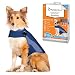 Thundershirt Blue Polo Large