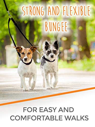 Mighty Paw Bungeex2 Double Dog Leash, Premium Quality Dog Leash, Comfort Force Absorbing Bungee (Standard | 30-100Lbs | No Handle, Black) #TOP4
