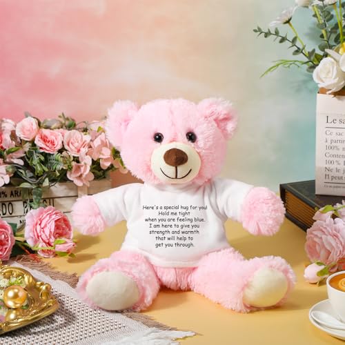 Lenwen Hug Gift Get Well Soon Sympathy Stuffed Animal, Pink, Bear by Lenwen - Used condition - Image 4