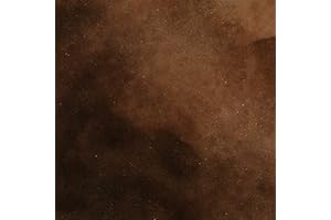 Concrete Acid Stain - Semi-Transparent Professional Grade Cement Stain (Black Walnut)