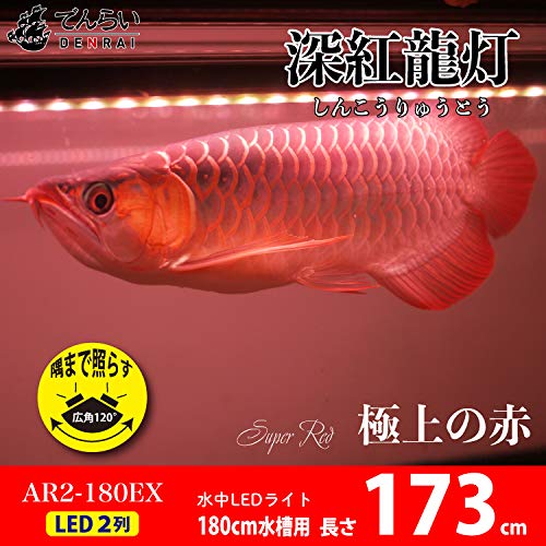 葵山田【点灯時間30分】アロワナライトマルチカラー！ 葵山田【点灯時間30分】アロワナライトマルチカラー！ 葵山田様専用