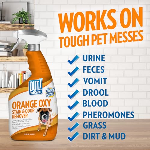 Image of OUT! PetCare Complete Oxy Stain Remover, Dog Stain Carpet Cleaner, 32oz | Upholstery Cleaner, Odor Eliminator, Stain Remover Spray, Pet Carpet Cleaner, Dog Urine Remover, Spot Cleaner, Floor Cleaner