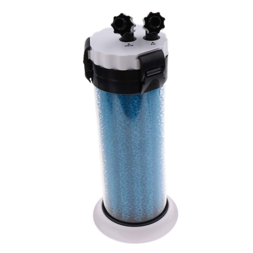 Préfiltre d'aquarium - Éponge externe - Outil de nettoyage pour terrarium et aquarium