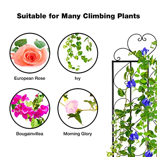 Playinyard 2 Pack Large Metal Garden Trellis For Climbing Plants, 60 Inch Tall Rustproof Sturdy Heart Trellis For Climbing Plants Roses Vines Flower Vegetable, Black #TOP6