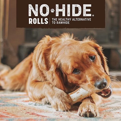 Earth Animal No Hide Medium Venison Flavored Natural Rawhide Free Dog Chews Long Lasting Dog Chew Sticks | Dog Treats for Large Dogs | Great Dog Chews for Aggressive Chewers (1 Pack)