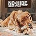 Earth Animal No Hide Chews - Long Lasting Rawhide Free Medium Dog Chews Rolls, Salmon - 2 Count
