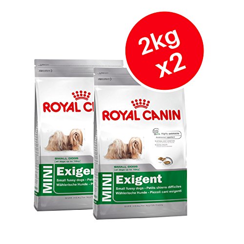 Royal Canin Mini Exigent, cibo per cani per
