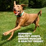 IAMS Proactive Health High Protein Dry Dog Food with Chicken & Beef, 30 lb. Bag - Image 4
