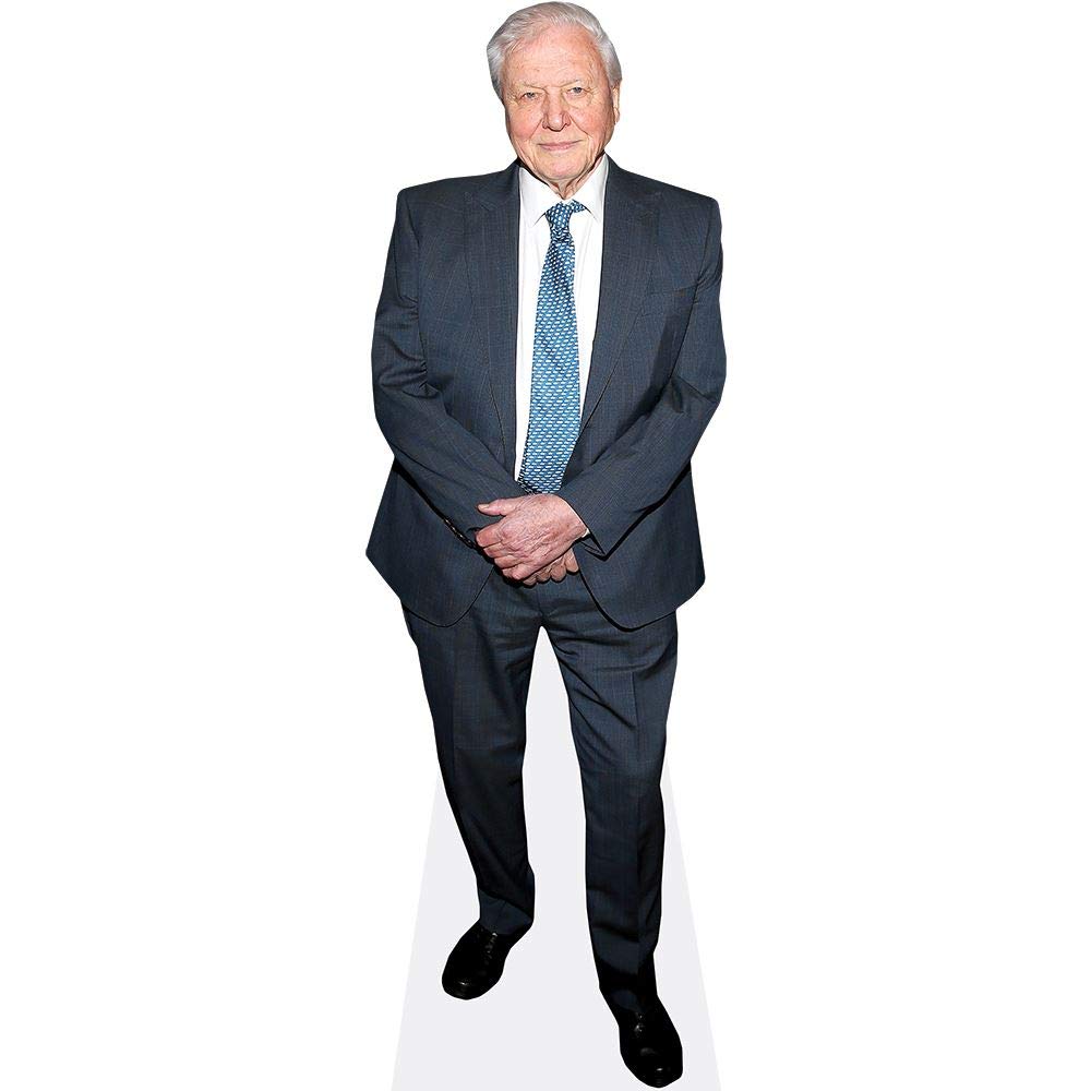 David Attenborough (Suit) Mini Size Cutout
