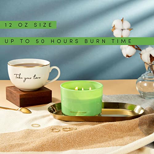 96North Luxury Eucalyptus & Sage Soy Candle | Large 3 Wick Jar Candle | Up To 50 Hours Burning Time | 100% Natural Soy Wax | Relaxing Aromatherapy Aesthetic Candles | Housewarming Gift Men And Women #TOP2