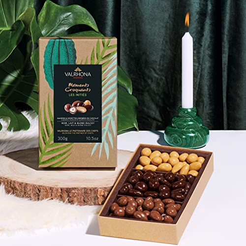 Valrhona Assortment Of Chocolate Covered Almonds And Hazelnuts In Perfect Snack Pack: Equinoxe Milk & Dark Chocolate, And Dulcey. The Perfect Wedding Favor, Gift, Or Sweet Snack. 300G (Pack Of 1) #TOP1