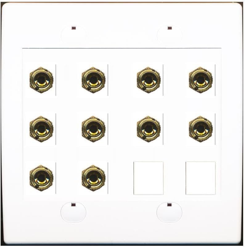 RiteAV 10 Banana 5 Speaker Surround 2G Coupler Binding Post Wall Plate 3 Pack