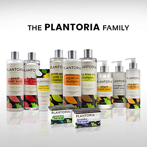 Plantoria Green Apple Stem Cell Shampoo | Plant Based Pure Vegan Organic Hair Growth Shampoo For Women, Men, Teens, Kids | Natural Hair Shampoo With Seaweed, Aloe Vera, Swiss Apple, Tea Tree & More #TOP7