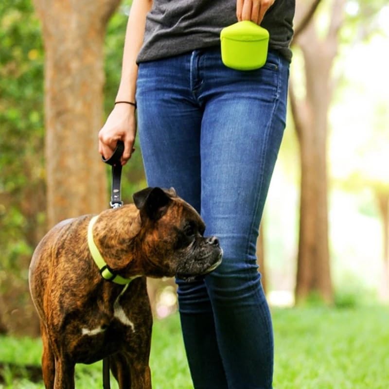 Sac banane de dressage pour chien avec grande capacité pour la marche, la randonnée et les récompenses, pochette portable pour animal domestique, bleu