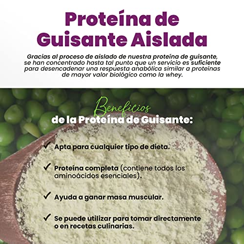 HSN Proteína de Guisante Aislada Sabor Vainilla 500 gr = 17 Tomas | 100% Vegana | Pea Protein Isolate | No-GMO, Sin Gluten, Sin Soja ni Azúcares añadidos