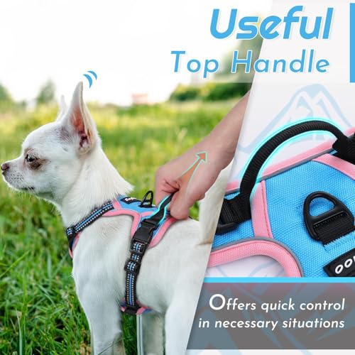 Image of Eagloo Dog Harness for Small Dogs, No Pull Pet Vest with 2 Leash Clips