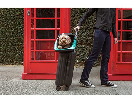 Sleepypod Air Airline Approved Carrier Large