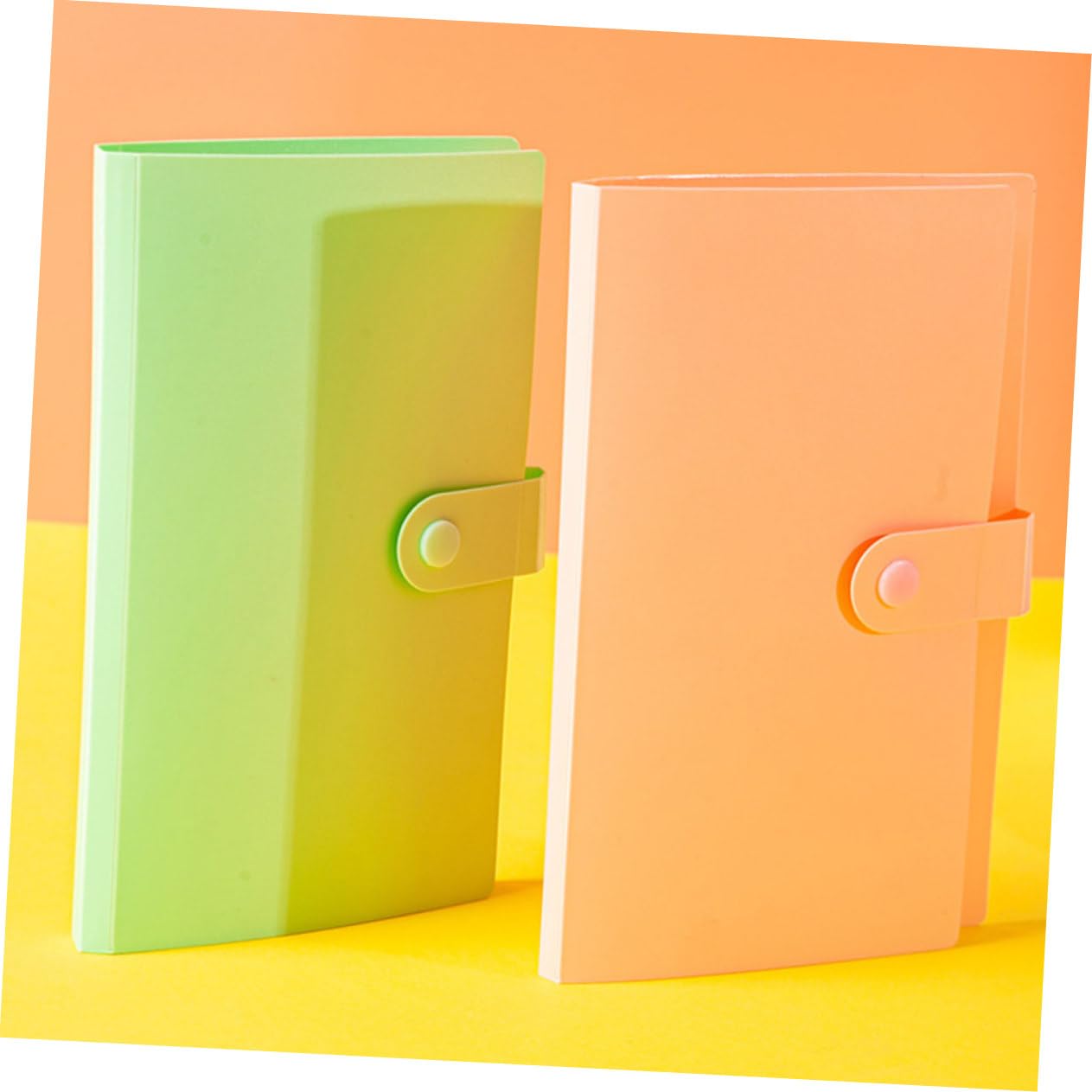 Porta Billetes Conmemorativos 4 Libros de Pp, Bolsa Protectora