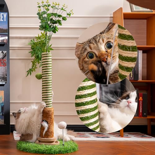 Cat Scratching Post 39'' Tall with Interactive Ball & Mouse Hole by JUNSPOW - Used condition - Image 4