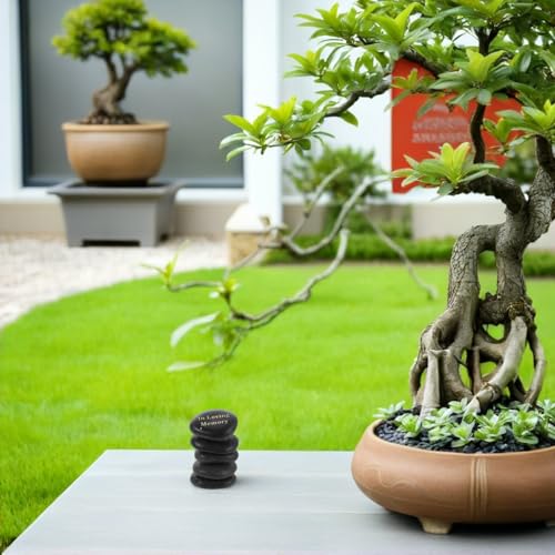 Piedras de recuerdo humanas para honrar el legado de tus seres queridos en el jardín 6