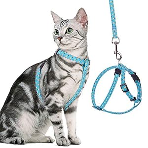 BINGPET Cat Harness and Lead Set Escape Proof – Adjustable Soft Vest Harnesses for walking with Pineapple Pattern, Pet Chest Strap for Small Medium Large Kitten
