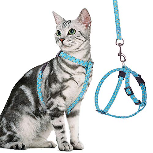 BINGPET Cat Harness and Lead Set Escape Proof – Adjustable Soft Vest Harnesses for walking with Pineapple Pattern, Pet Chest Strap for Small Medium Large Kitten