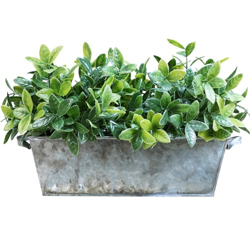 Winlyn Artificial Boxwood Plants in Rustic Galvanized Metal Rectangular Planter Box Faux Boxwood Greenery Arrangement Potted Plants for Farmhouse Indoor Table Centerpiece Shelf Office Desk Décor
