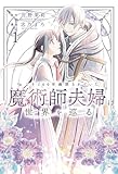 およそ100年幽閉されていた魔術師夫婦は世界を巡る