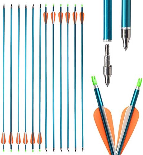 SHARROW 31'' Aluminum Arrows Spine 500 Hunting Targeting Arrow Practice Archery for Compound Bow Recurve Bow