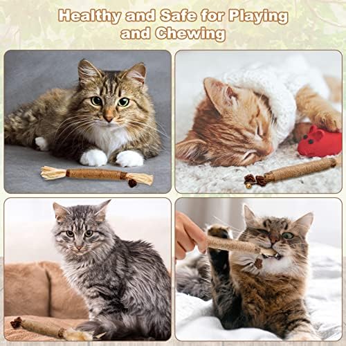 Dacitiery Silvervine Chew Sticks Cat Toys, 6 Pack Natural Cat Teeth Nip Cleaning Teeth Chew Catnip Toys for Indoor Cat Teeth Cleaning Kitten Teething and Stress Release