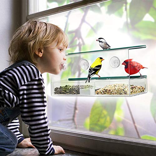 Window Bird Feeder with Powerful Suction Cup and Seed Tray for Outdoor Bird Feeder for Wild Birds. Large External Hanging Bird House Kit with Drain Holes, 3 Suction Cups