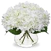 Hollyone Hydrangea Artificial Flowers with Vase White Silk Fake Flowers Arrangements in Glass Vase with Faux Water for Home Bathroom Office Table Centerpiece Shelf Decorations