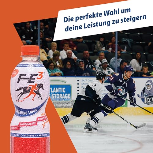 FE³ by Fix Energy im Vorratspack (6 x 500ml) – Johannisbeer-Geschmack, mit Koffein, D-Ribose, Mineralien, Vitaminen & Aminosäuren – Erfrischend für Sport, Freizeit & Business
