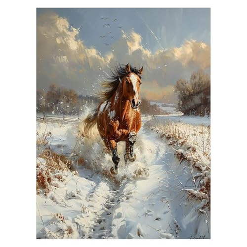 G n Painting by Numbers ~ yCgoCio[ Lbg 50 x 70 cm G|Lbg ƃuVƃJt LoXG ʊG̋ Paint by Numbers Ƃ̕ǂ̑zf[MtgƂĎgp