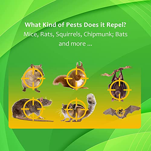Rodent Repellent Indoor Ultrasonic Mice Repellent Plug-Ins Squirrel Repellent Mouse Deterrent Rat Control Bat Removal Attic Garage House Rv Apartment #TOP4