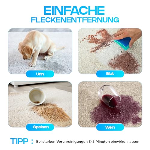 Teppichreiniger und Polsterreiniger Konzentrat 1:20 für Waschsauger