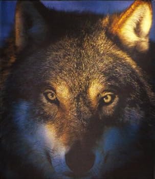 Entre Chien et Loup