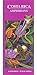 Costa Rica Amphibians Wildlife Guide (Laminated Foldout Pocket Field Guide) (English and Spanish Edition)