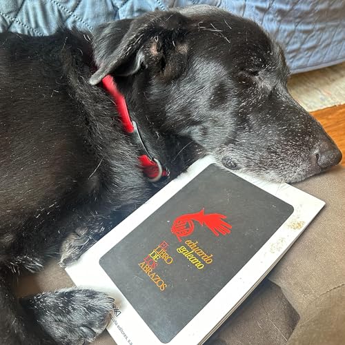 Leele a Tu Perro - para niños que aman a perros y libros Podcast Por arte de portada
