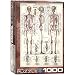 EuroGraphics Skeletal System (Chart) Puzzle (1000-Piece)