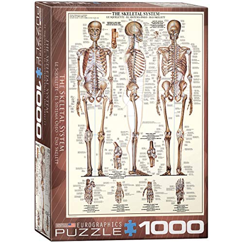 EuroGraphics Skeletal System (Chart) Puzzle (1000 piezas) (6000-3970), Marrón miniatura 1