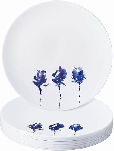 Platos de ensalada de plástico de diseño pintado para fiestas (10 piezas) Juego de cena desechable resistente de 9 pulgadas, platos de aspecto fino Platos de ensalada de plástico de diseño pintado para fiestas (10 piezas) Juego de cena desechable resistente de 9 pulgadas, platos de aspecto fino