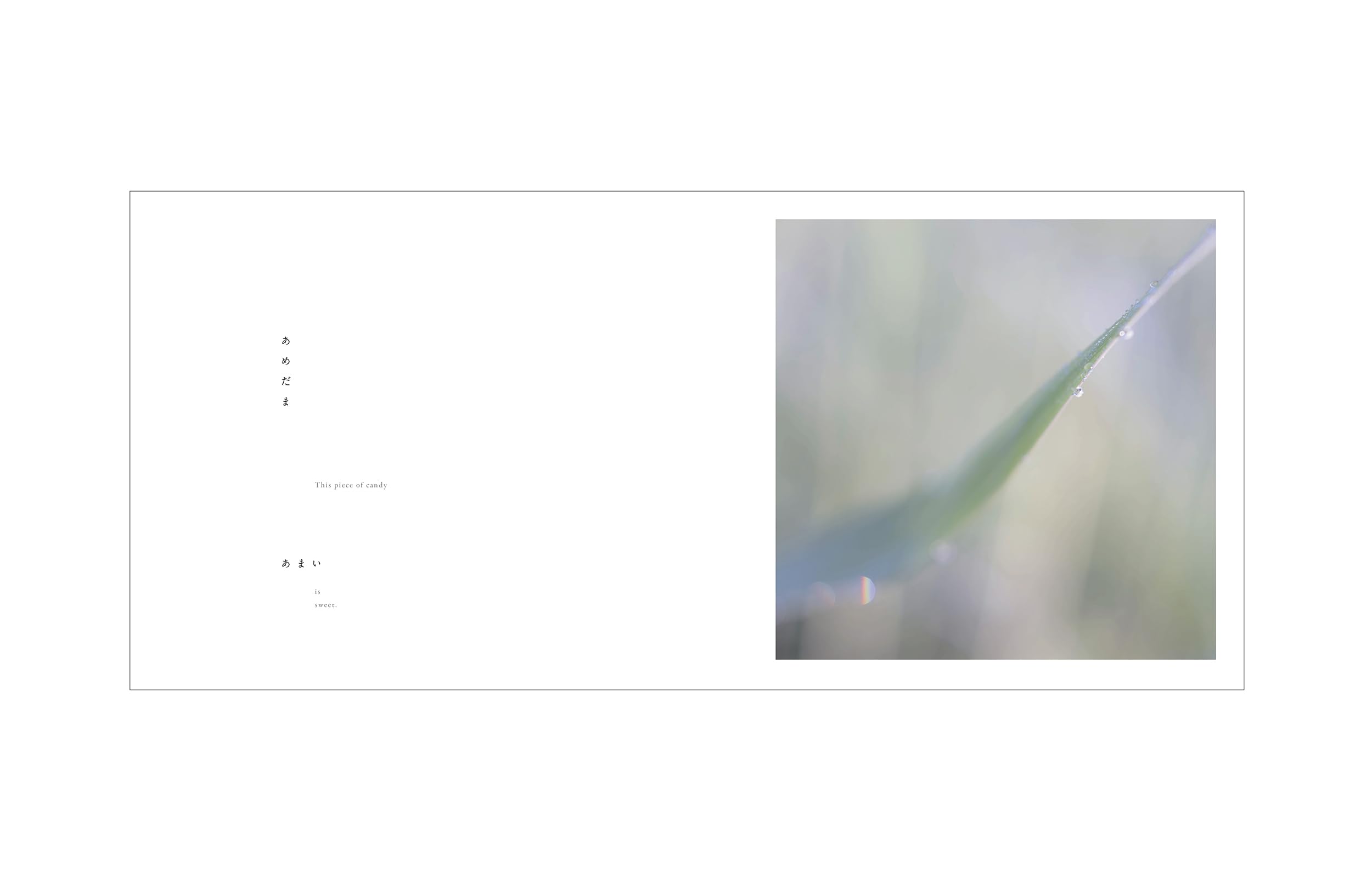 Here and Now - Rinko Kawauchi - Shuntaro Tanikawa