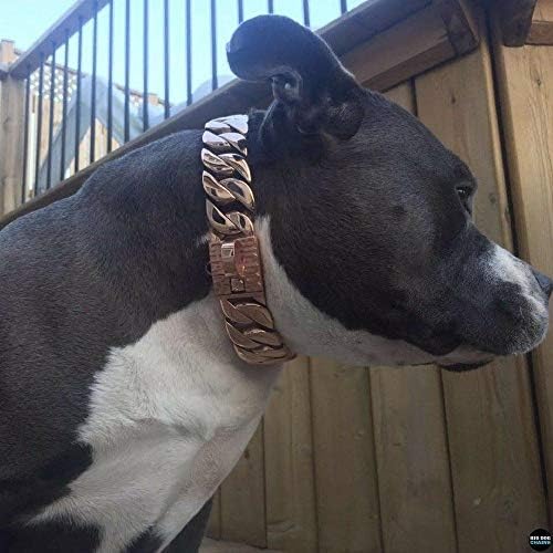 316L Stainless Steel Dog Collar 
