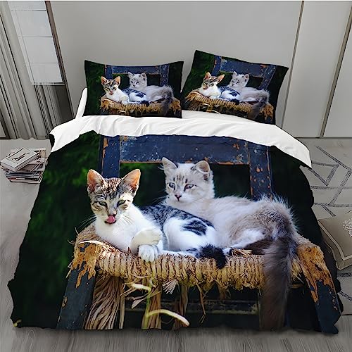 Funda Nordica Cama 90 Gato Maine Coon Juego de Ropa de Cama Verde Funda de Edredón Microfibra con Cremallera Reversible Suave Funda Nórdica 135x200 cm y Funda de Almohada 50x75 cm