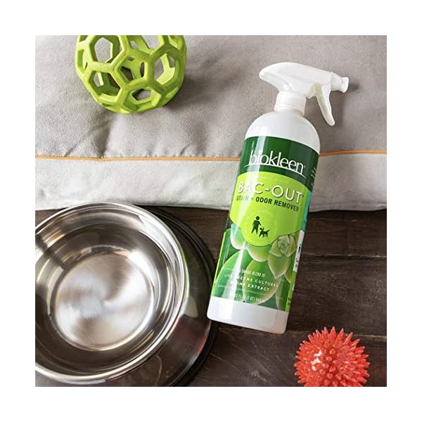 Biokleen BacOut Stain Remover for Carpet, Clothes 32 Ounce and Gallon Refill Enzymatic, for