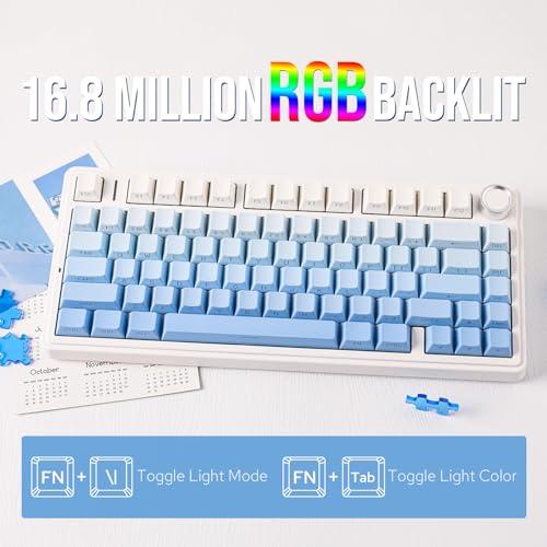 Image of EPOMAKER x Aula F75 Gasket Mechanical Keyboard, 75% Wireless Hot Swappable Gaming Keyboard with Five-Layer Padding&Knob, BT /2.4GHz /USB-C, RGB (Blue Gradient, LEOBOG Reaper Switch)