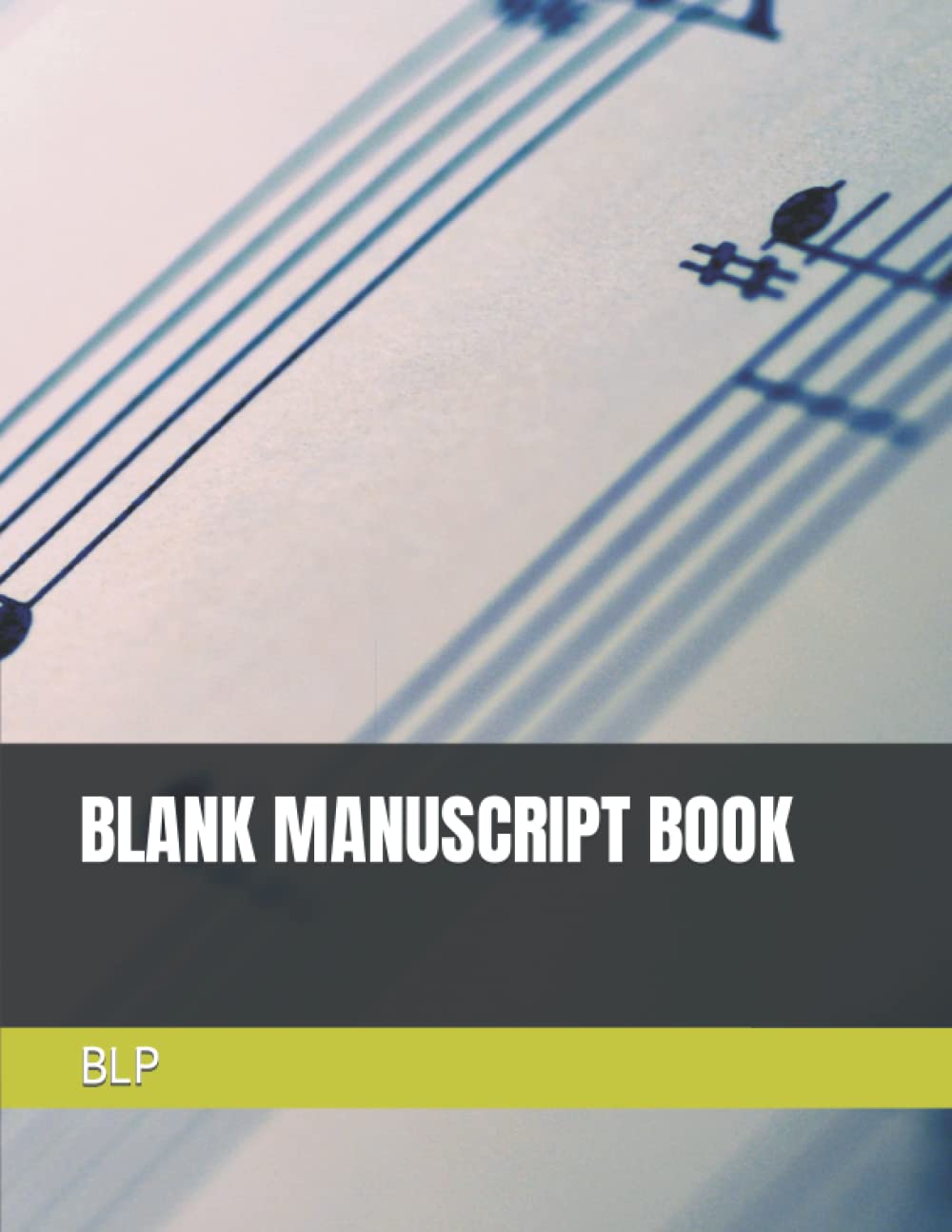 BLANK MANUSCRIPT BOOK