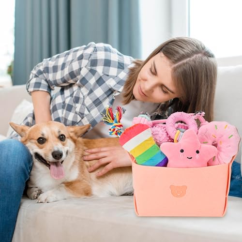 Ousiya 12er Set Welpenspielzeug, kleines Hundespielzeug, Welpenkauspielzeug mit Aufbewahrungsbox,Kauspielzeug für kleine und mittelgroße Hunde, zum Spielen