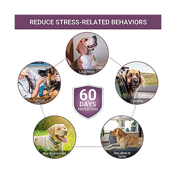 BUDOCI Calming Collar for Dogs Reduce Anxiety and Stress 60 Days Effective Pheromones Dog Collar 24Inch Waterproof Calming Collar(2 Pack) BUDOCI Calming Collar for Dogs Reduce Anxiety and Stress 60 Days Effective Pheromones Dog Collar 24Inch Waterproof Calming Collar(2 Pack)